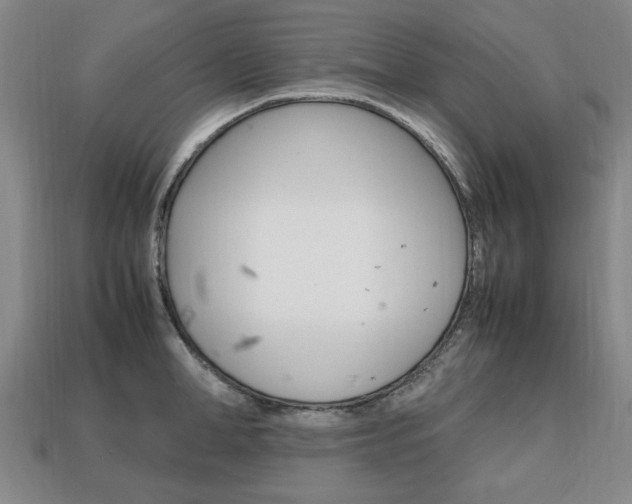 X0000113850998200909241001