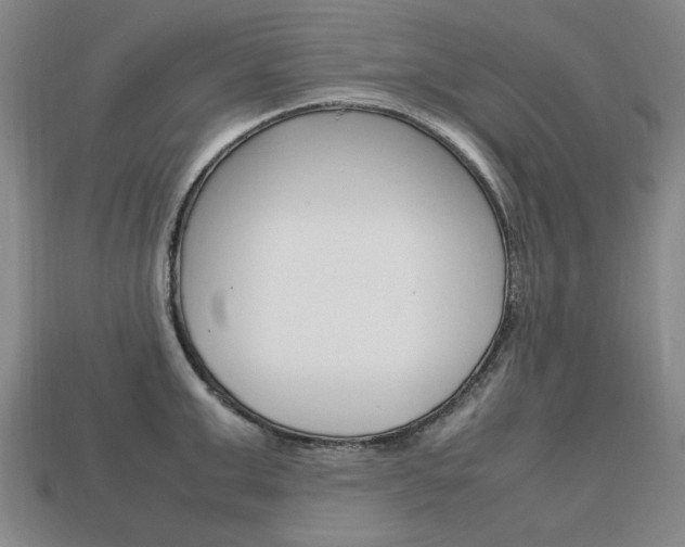 X0000113850999200909241001
