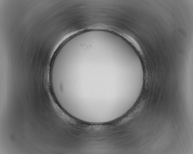 X0000113851000200909241001