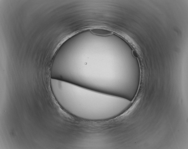 X0000113851001200909241001