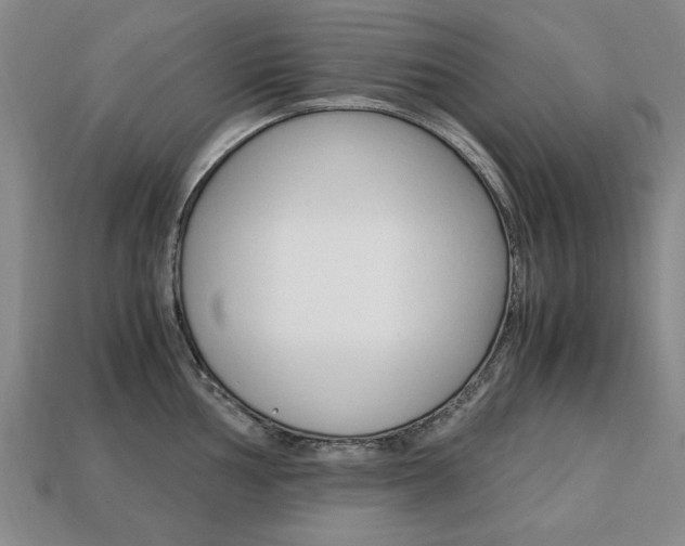 X0000113851002200909241001