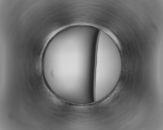 X0000113851004200909241001