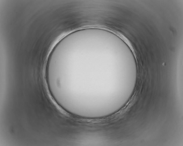 X0000113851005200909241001