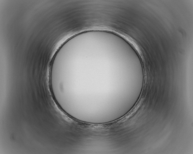 X0000113851006200909241001