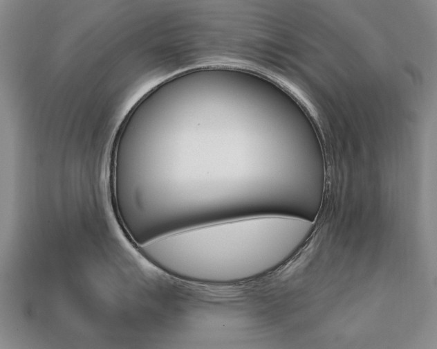 X0000113851007200909241001