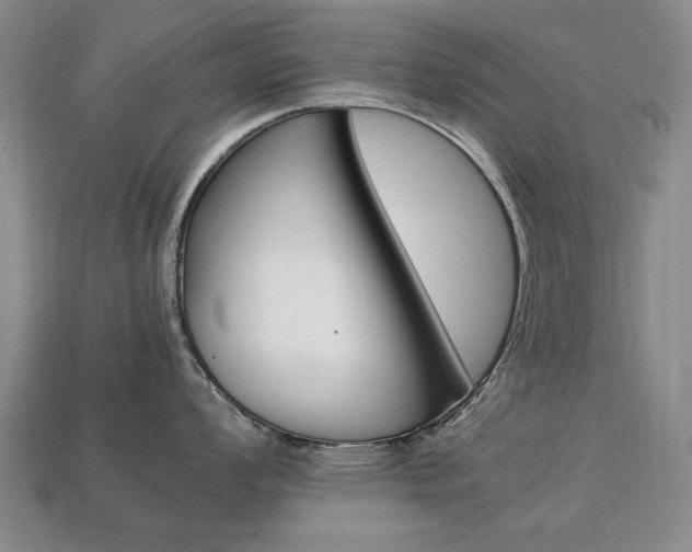 X0000113851008200909241001