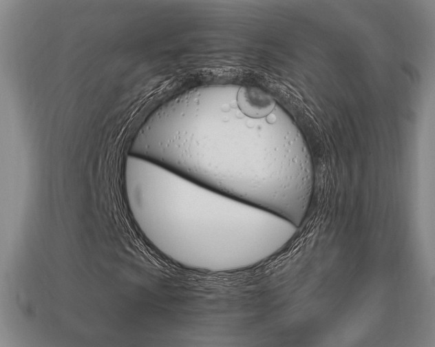 X0000113851009200909241000