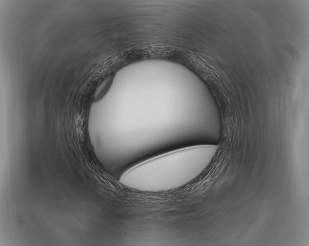 X0000113851010200909241000