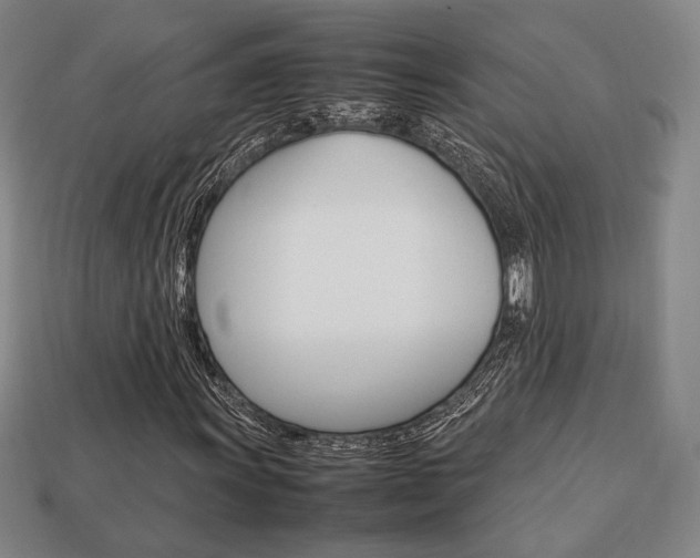 X0000113851011200909241000