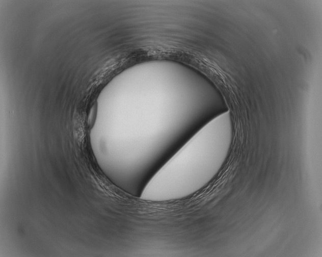 X0000113851012200909241000
