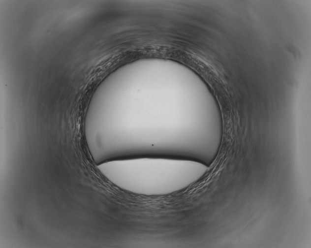 X0000113851013200909241000