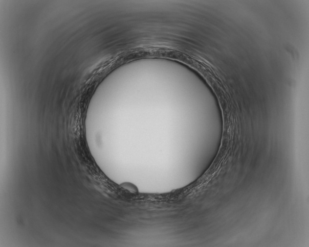 X0000113851014200909241000