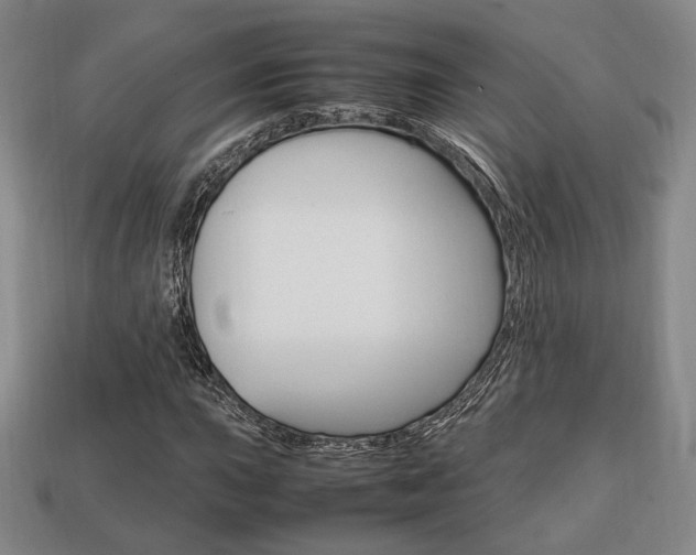 X0000113851015200909241000