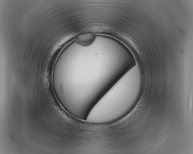 X0000113851018200909241000