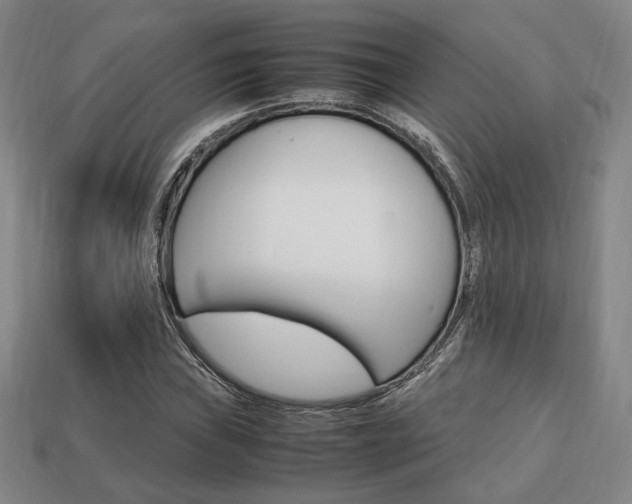 X0000113851019200909241000
