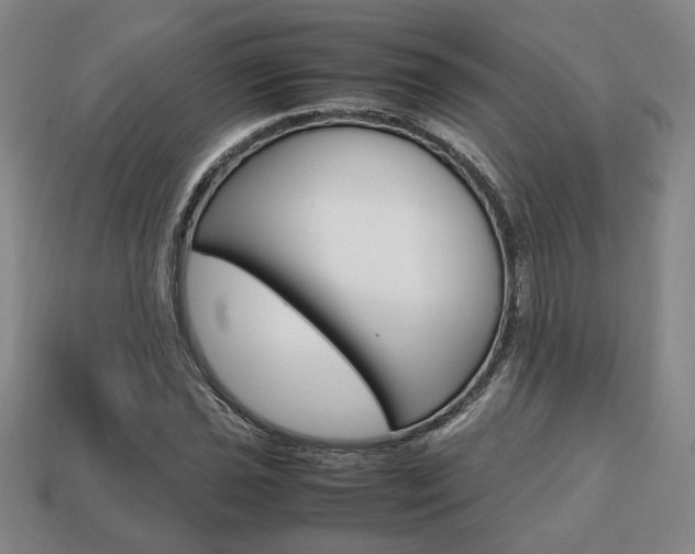 X0000113851021200909241000