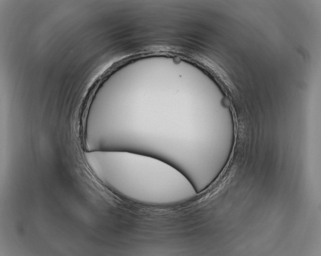 X0000113851023200909241000