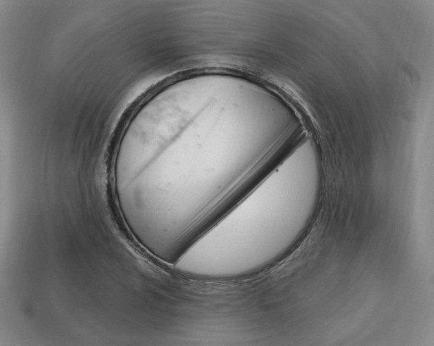 X0000113851024200909241000