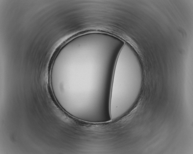 X0000113851028200909241000