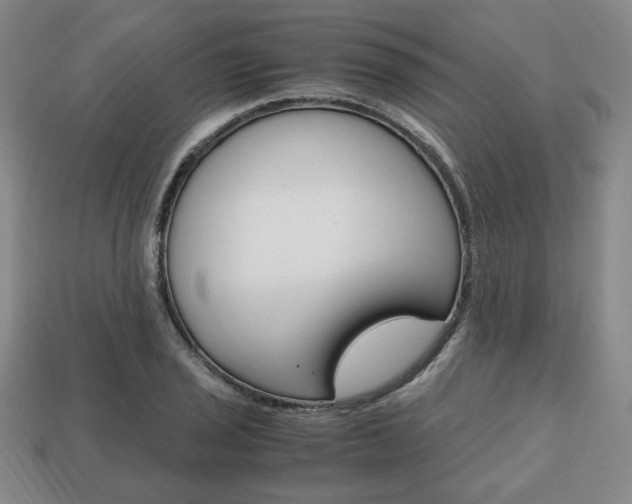 X0000113851029200909241000