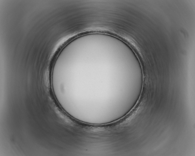 X0000113851030200909241000