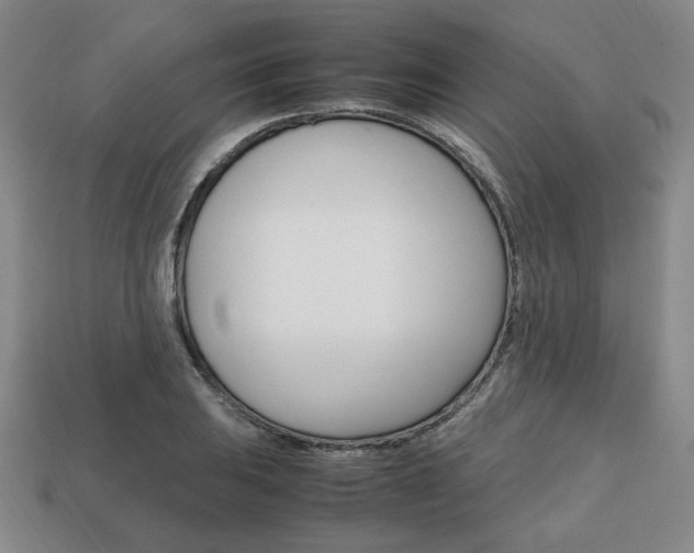 X0000113851031200909241000