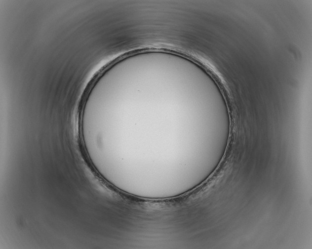 X0000113851032200909241000
