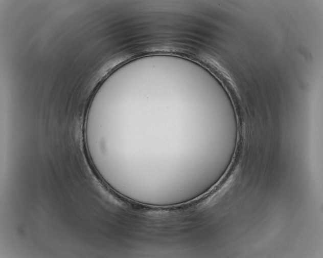 X0000113851033200909241000