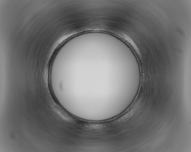 X0000113851035200909241000