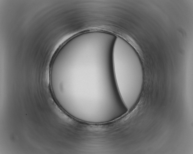 X0000113851036200909241000