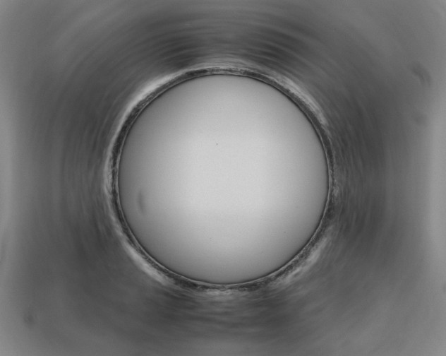 X0000113851037200909241000