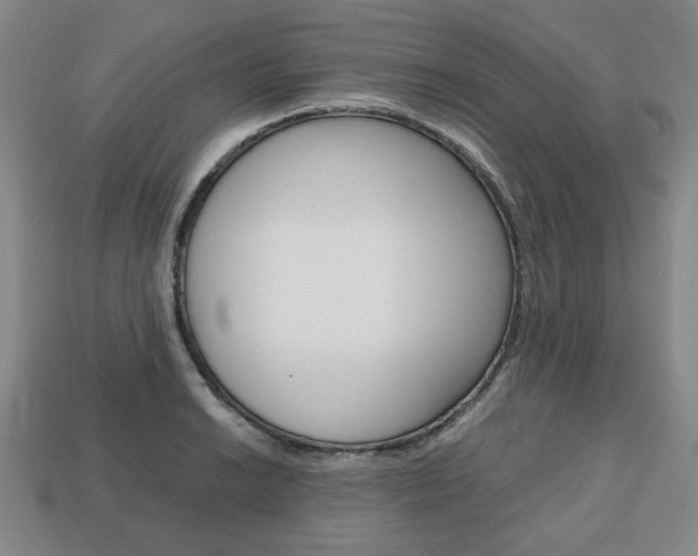 X0000113851038200909241000