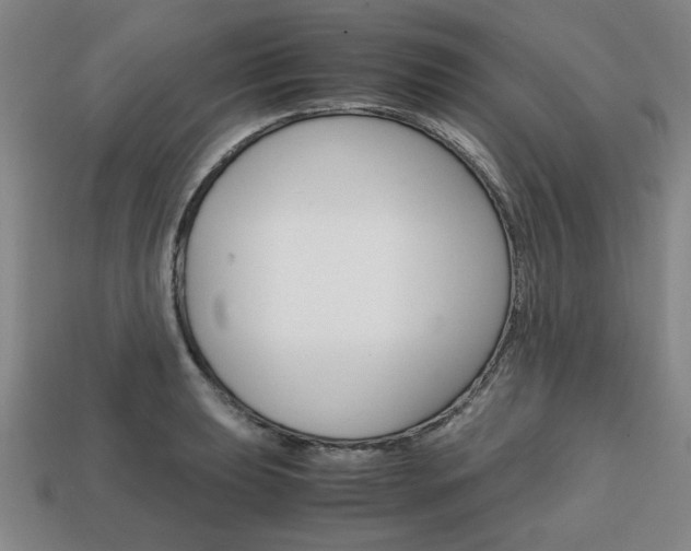 X0000113851039200909241000