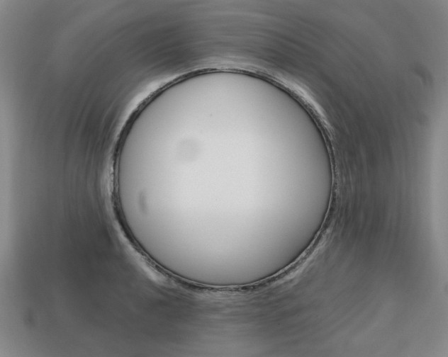 X0000113851040200909241000