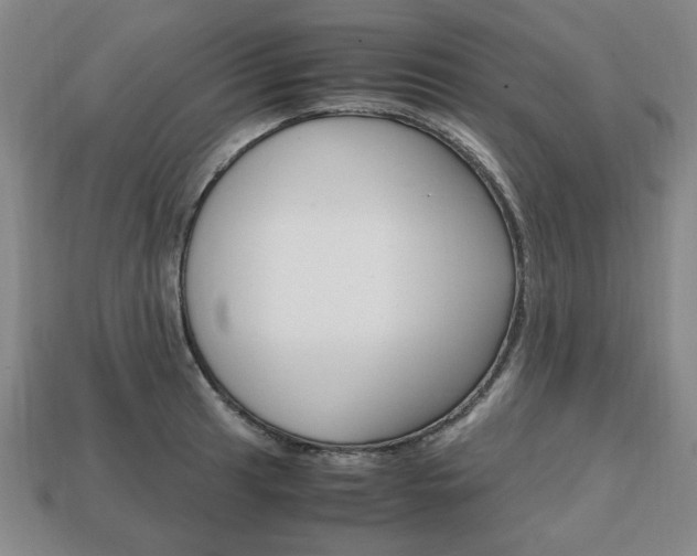 X0000113851041200909241001