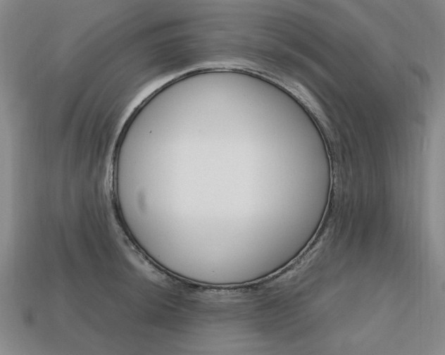 X0000113851044200909241001