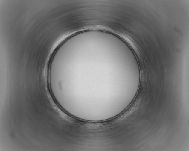 X0000113851046200909241001