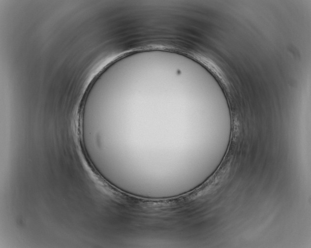 X0000113851047200909241001