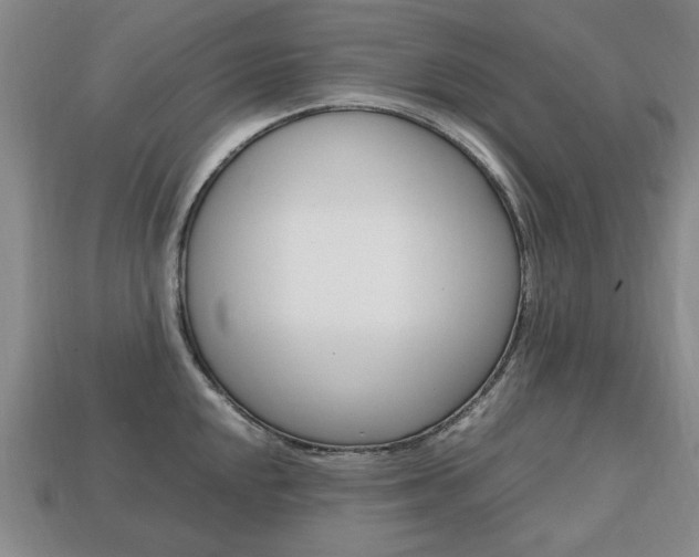 X0000113851048200909241001