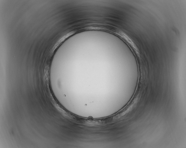 X0000113851049200909241001