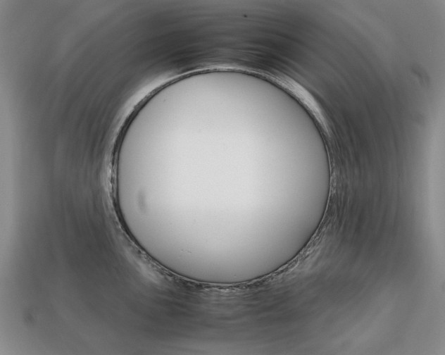 X0000113851051200909241001