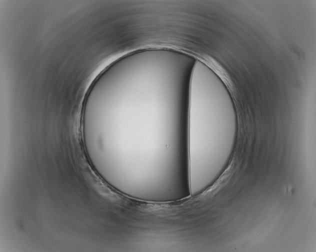 X0000113851052200909241001