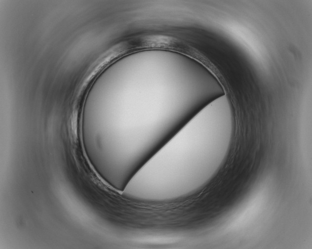 X0000113851054200909241001