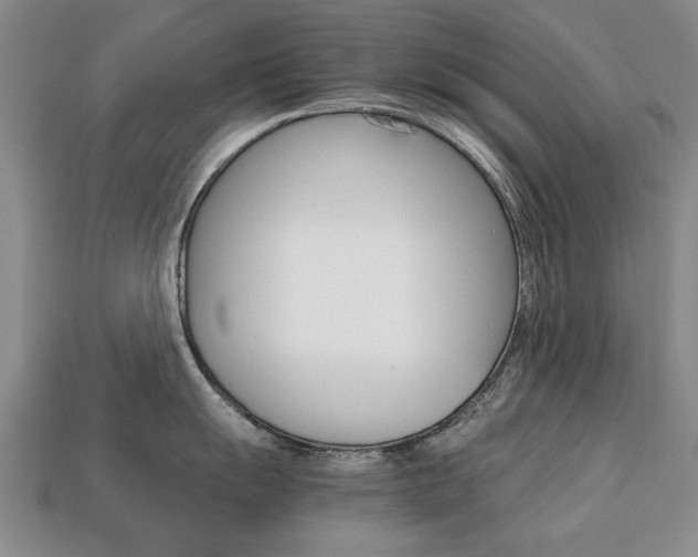X0000113851055200909241001