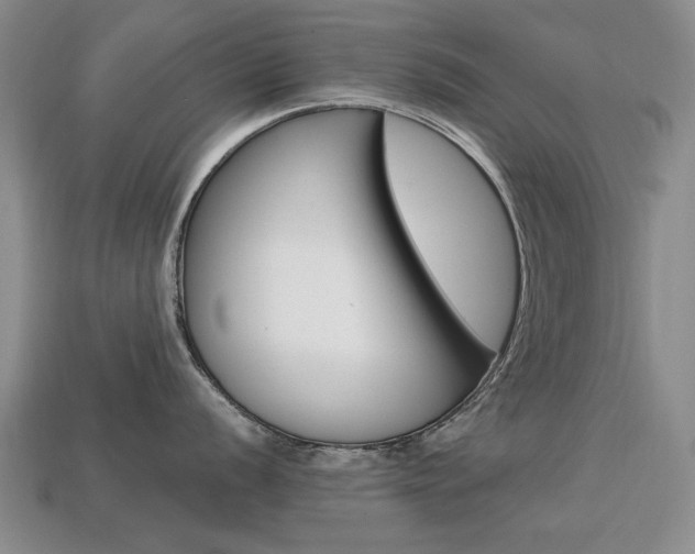 X0000113851056200909241001