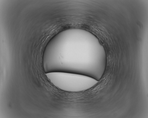 X0000113851057200909241000
