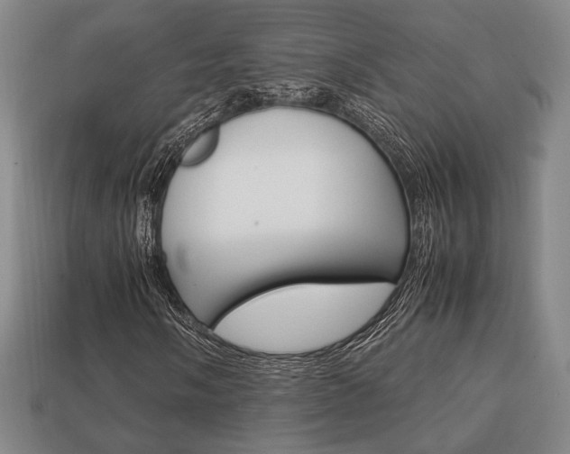 X0000113851058200909241000