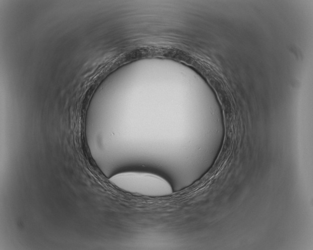 X0000113851061200909241000