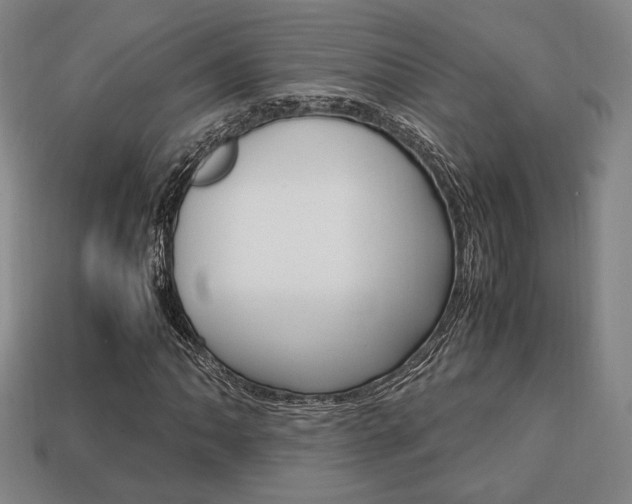 X0000113851062200909241000