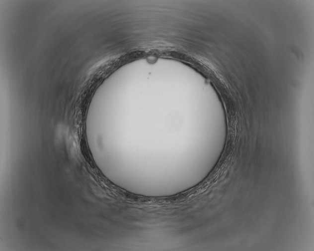 X0000113851063200909241000